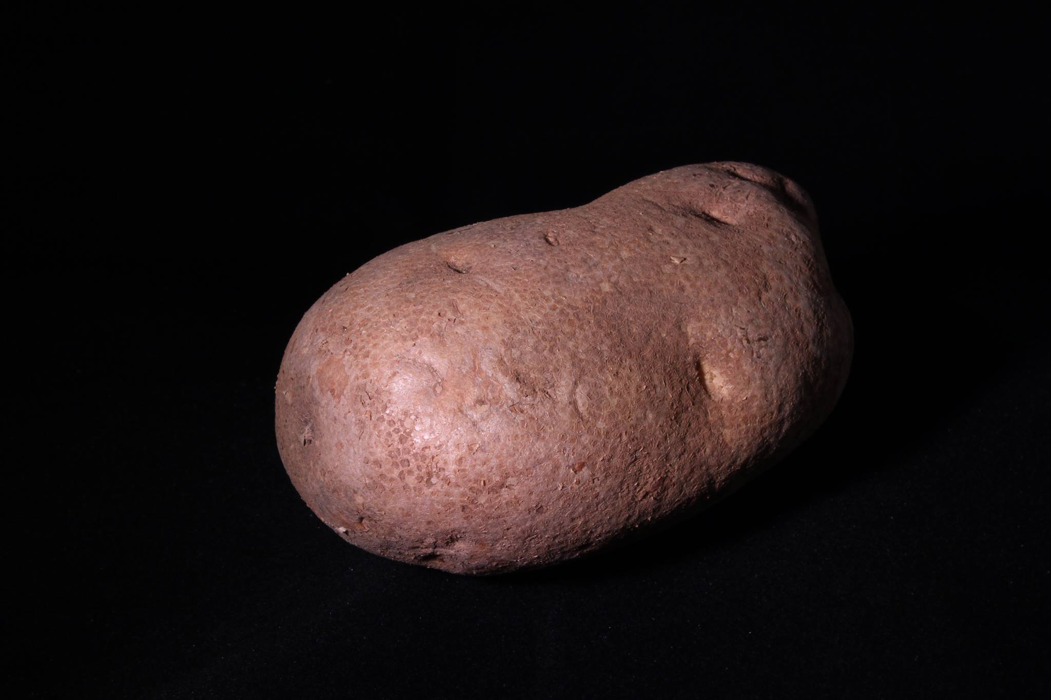 Potato